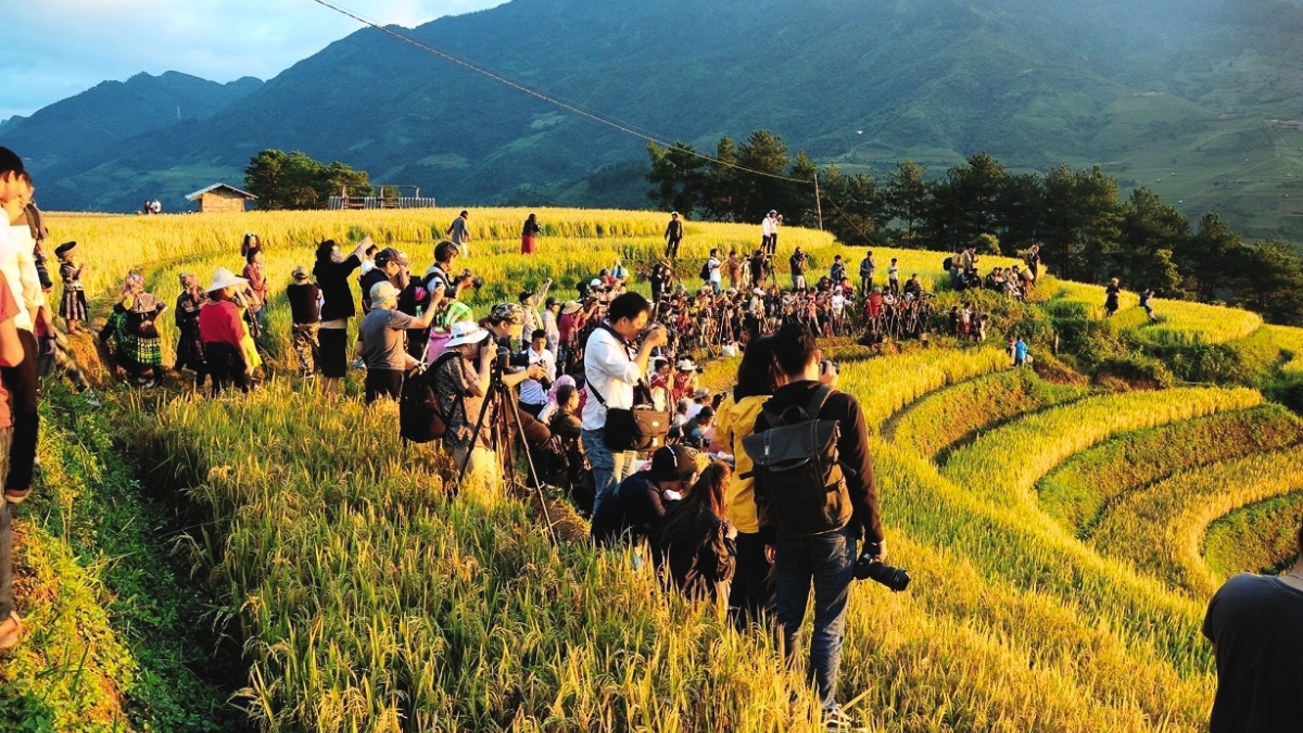 Grasp The Beauty Of Terraced Paddy Fields In Mu Cang Chai