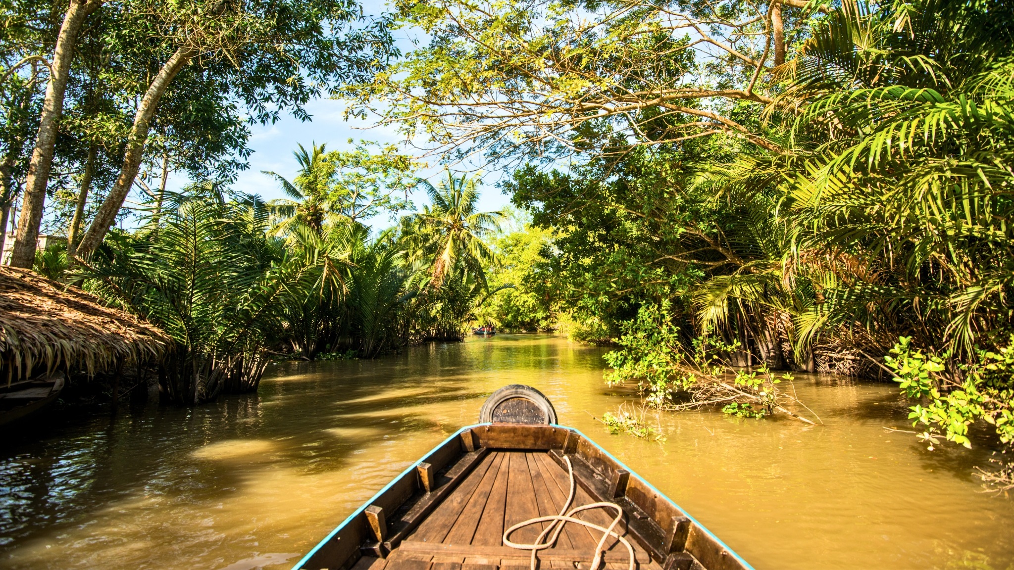 Day 3 Sampan Ride Through A Canal In Mekong Delta