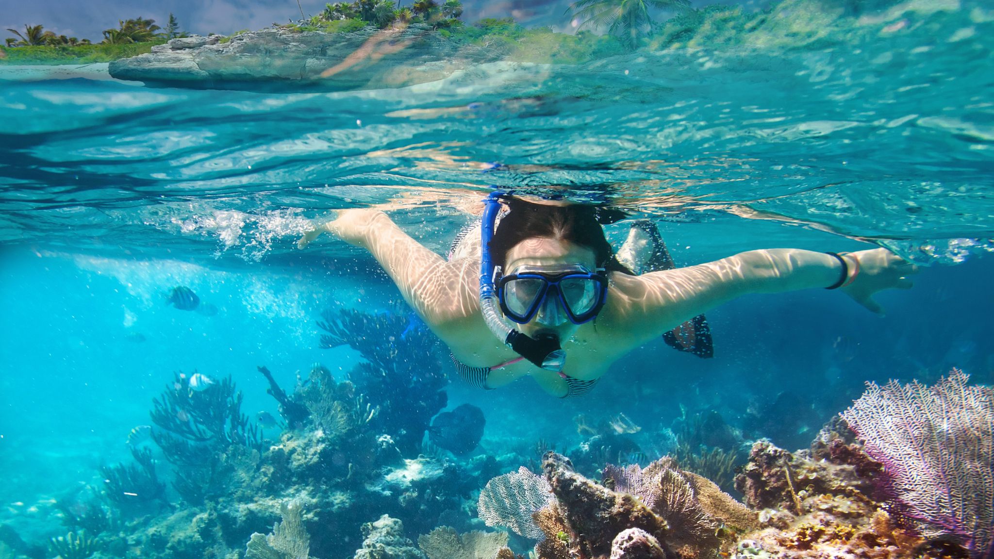 Immerse Yourself In The Crystal Clear Water
