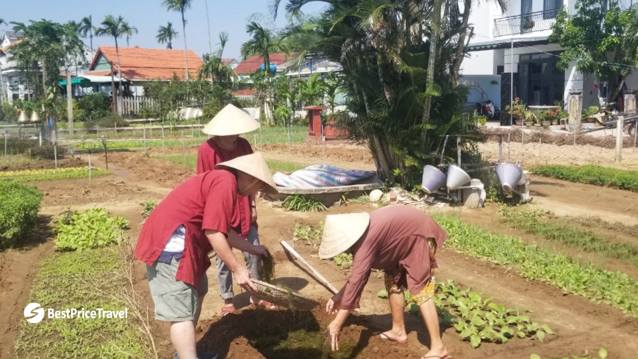 Day 6 Do Farming Activity In Cam Thanh Village