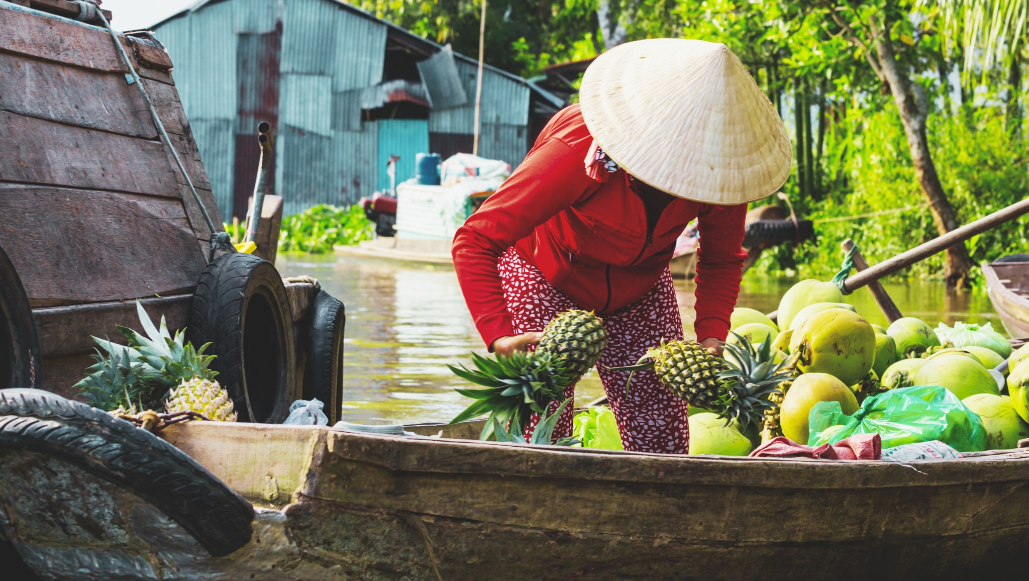 Savor Fresh Fruits Of Mekong Delta