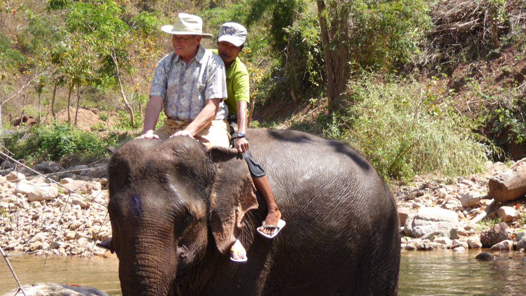 Day 6 Enjoy A Respectful Interaction With Elephants, Earning About Their Behavior