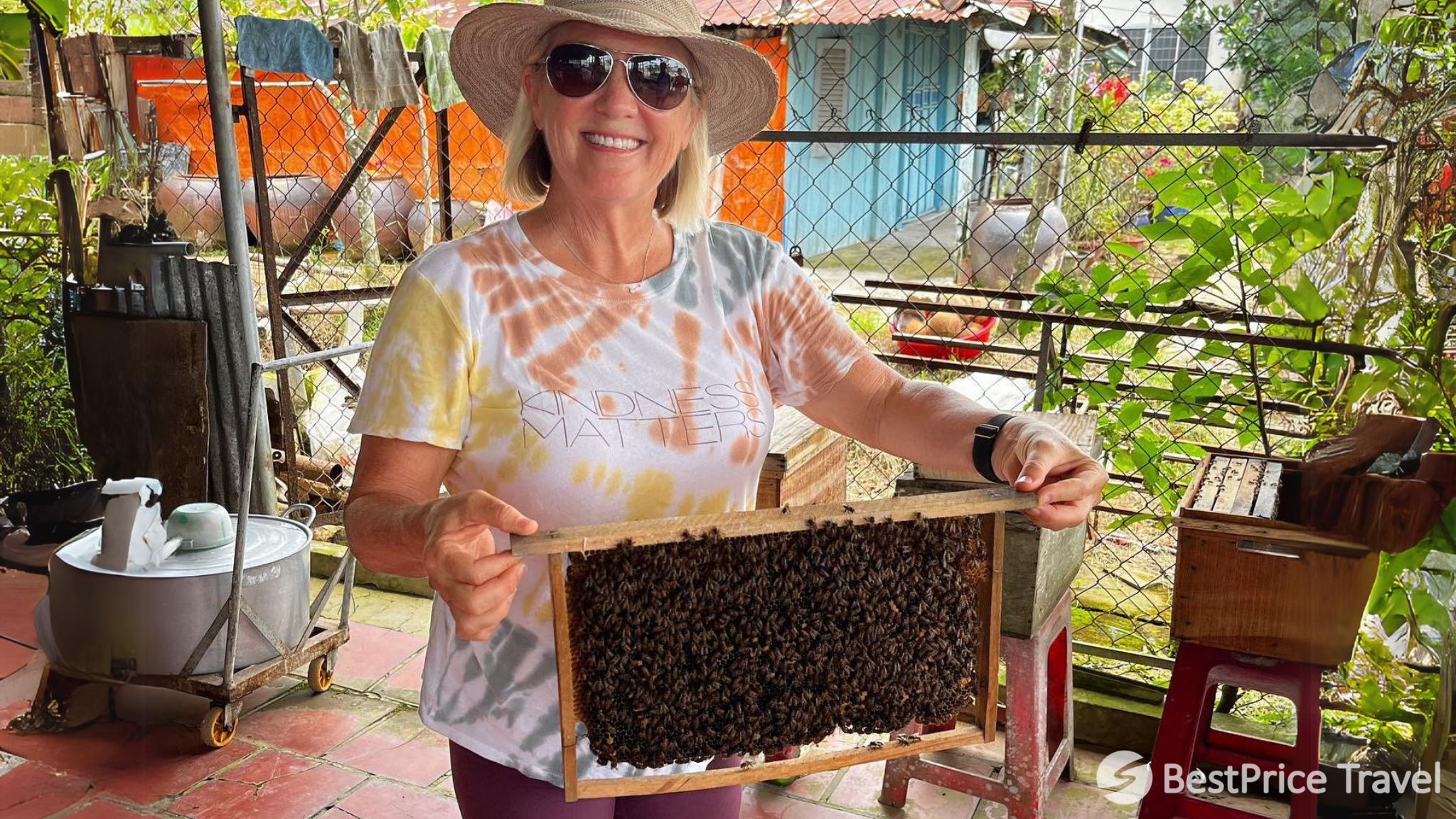 Day 2 Explore The Bee World In A Local Farm