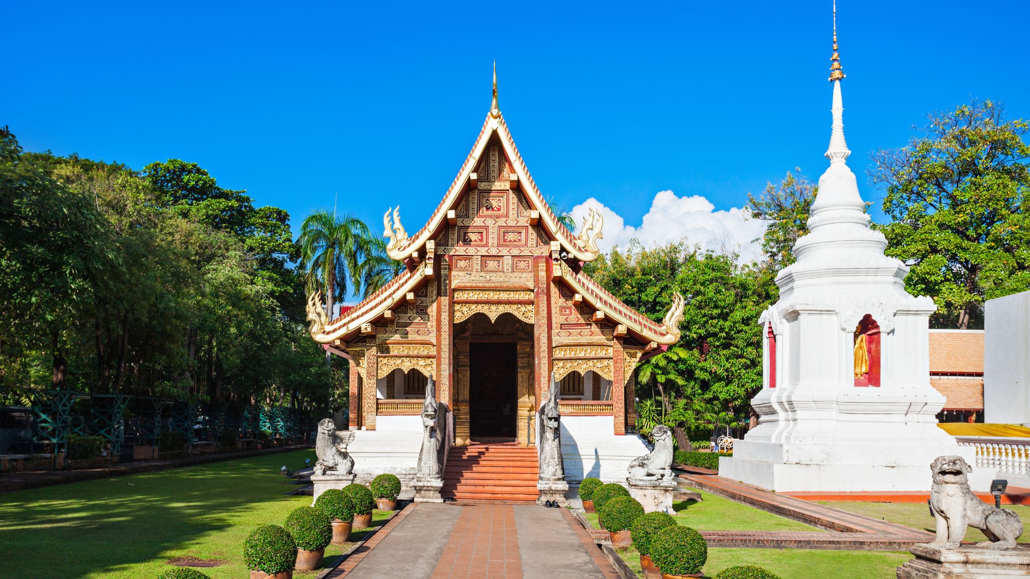 Day 4 Explore The Magnificent Wat Chedi Luang