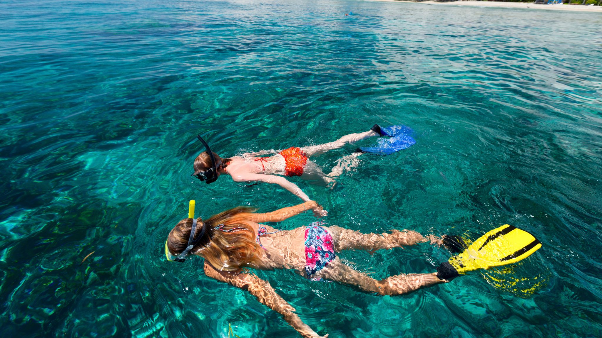 Day 4 Explore The Underwater World With Snorkeling Time